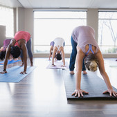 Downward Facing Dog