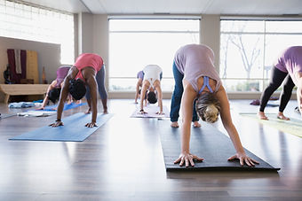 Cours de yoga - chien orienté vers le ba