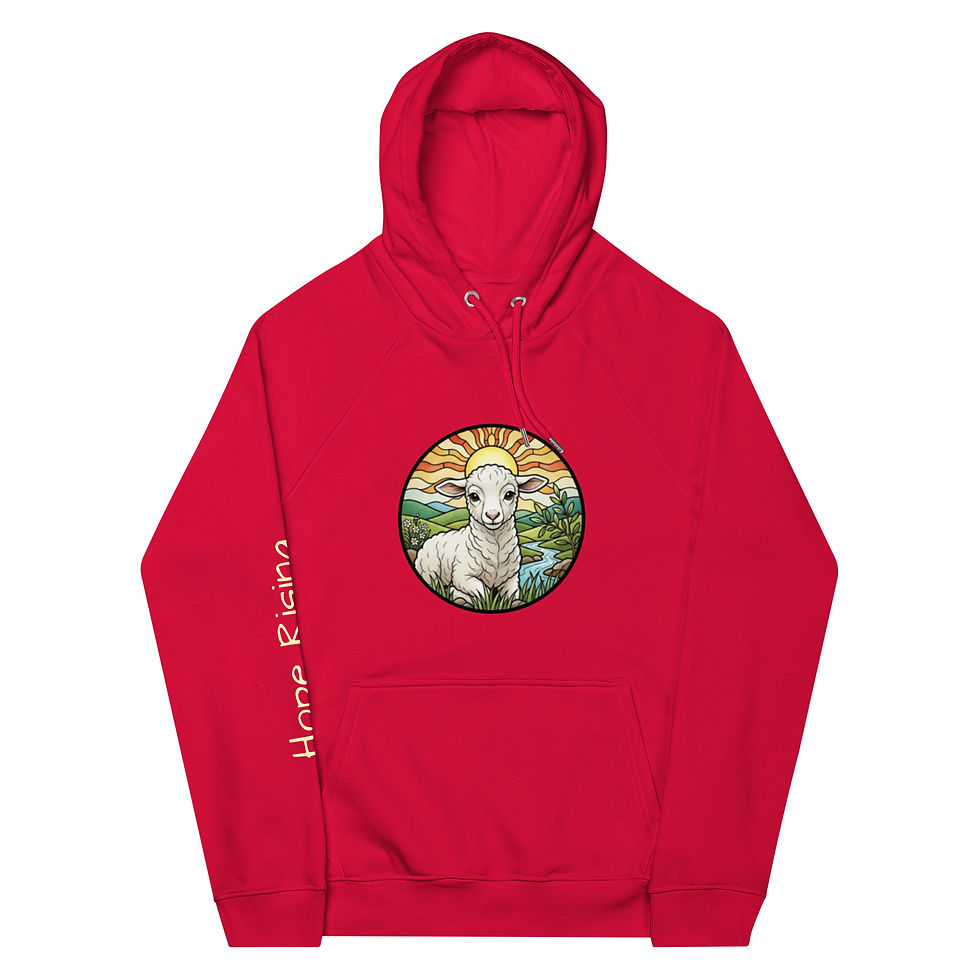 Thumbnail: Unisex eco raglan hoodie