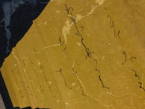 書道 オンラインレッスン