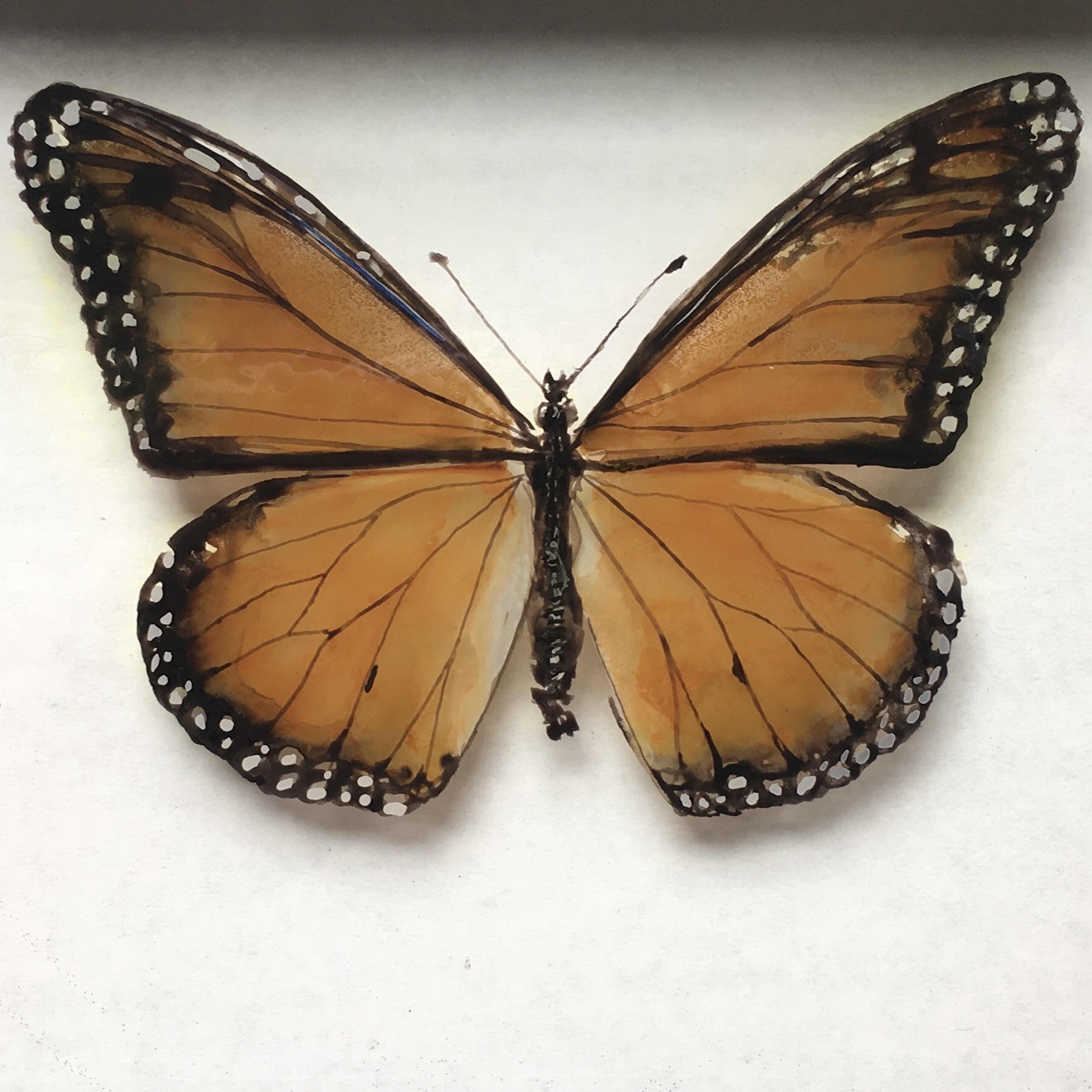 Woman with artichoke.jpg