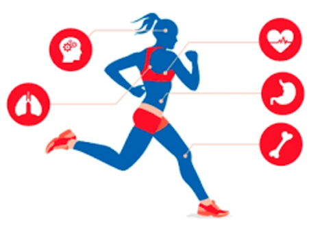 El impacto de la actividad fÃsica y el deporte sobre la salud