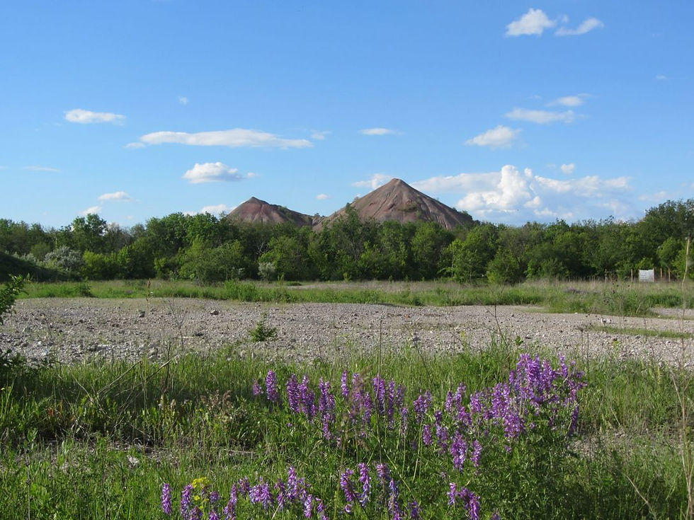 "Путешествие по Донецкому краю" -викторина