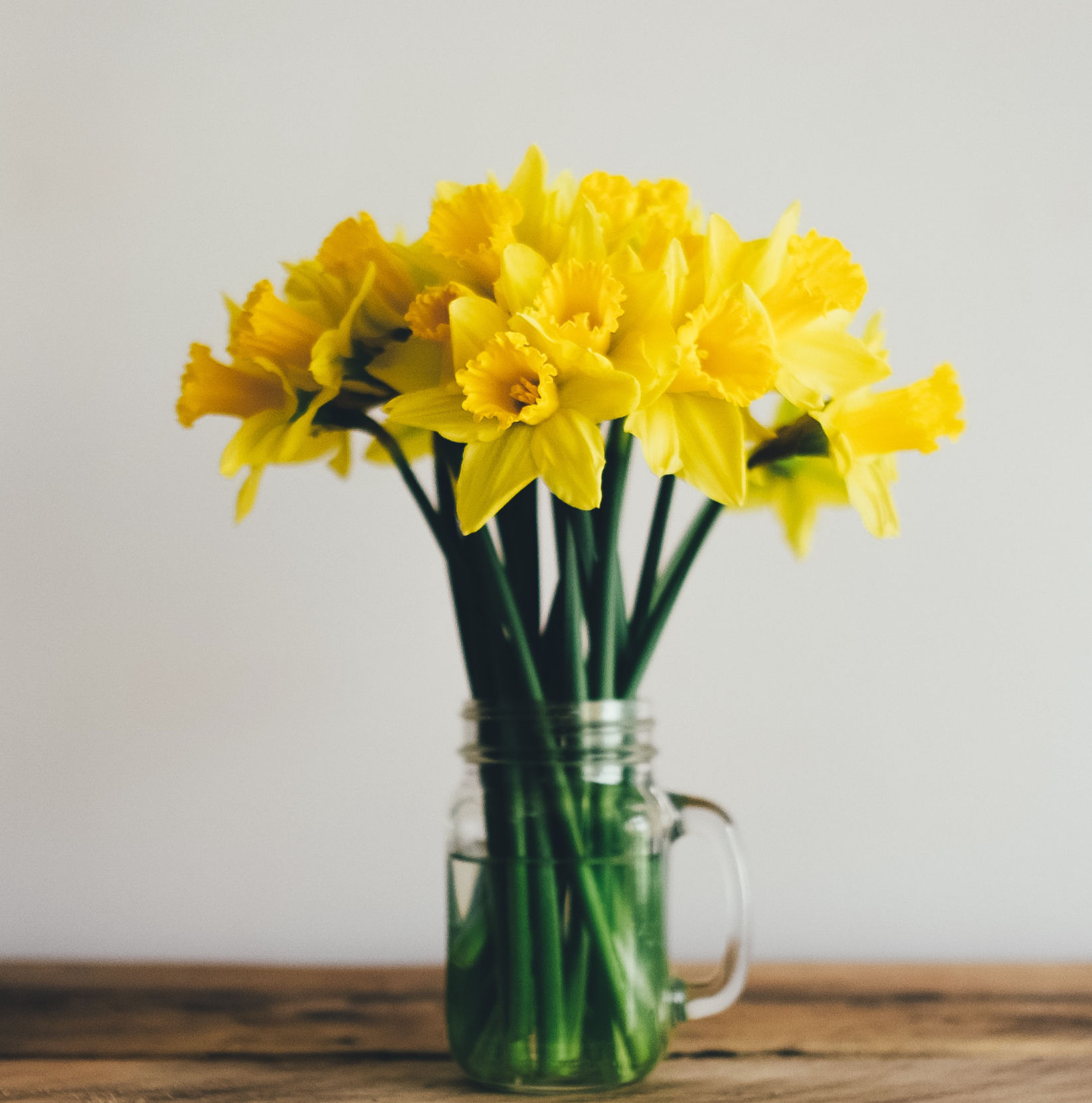 Bouquet de jonquilles