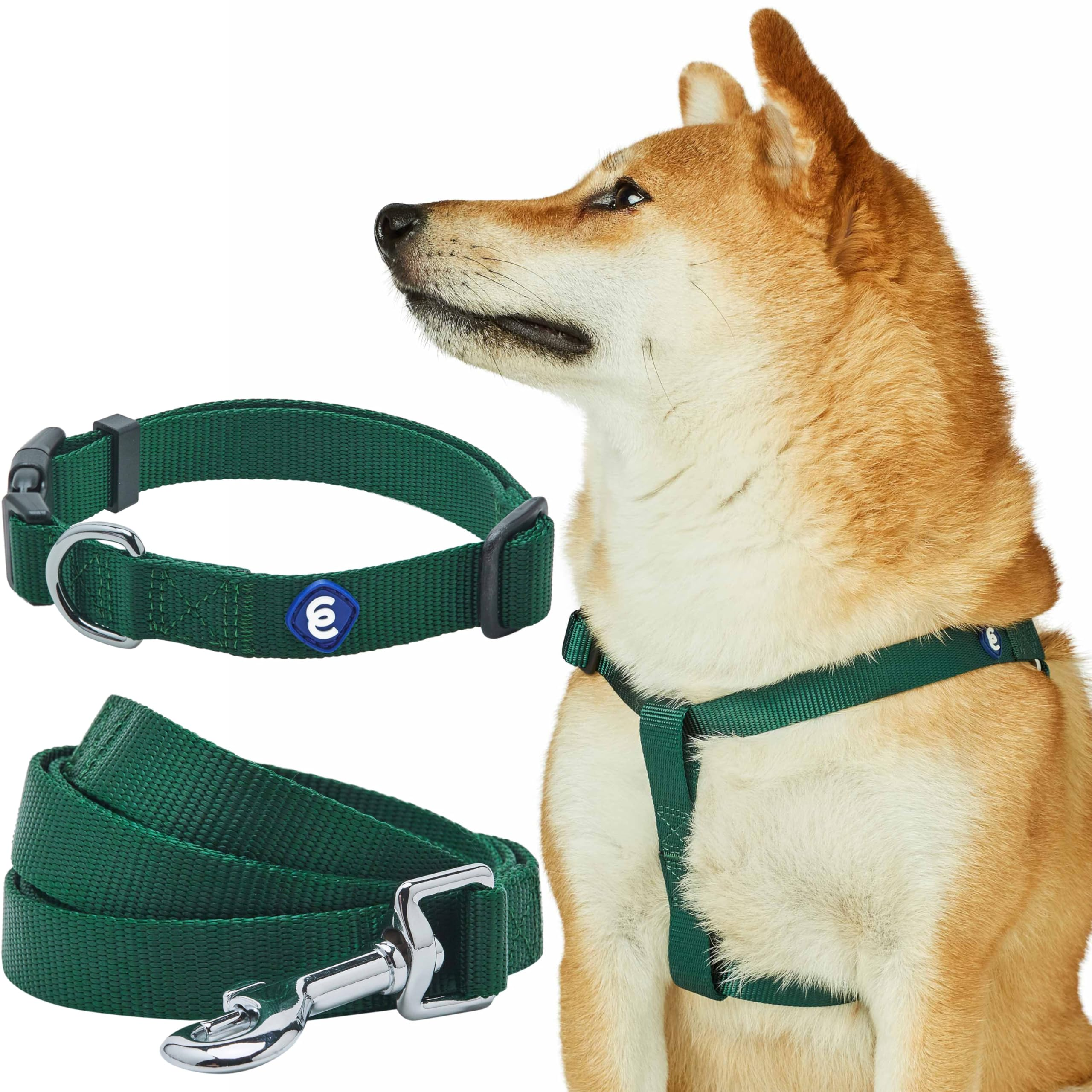 🐾 Blueberry Pet Essentials – Matching Dog Collar, Leash & Harness Set in Verdan