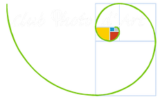 logo-1-1.png