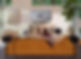 Sonos_OptimoEvergreen_Optimo02_082522_3248_v03_HR.jpg