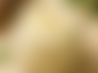 From Our Best-Selling Beef Tallow to a New Vegan Alternative: What’s Next