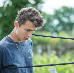 Meneur de chevaux de trait en traction équine en viticulture