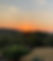 Sunrise over trees