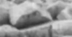 Rock Background.webp