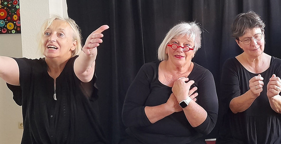 Fiese Matenten - Improvisationstheater