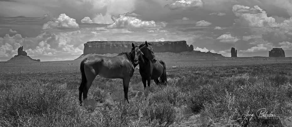 2C3T7882pano sw web.jpg