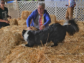 Tari May 12 TCAR CZ8s Super Q 105 pts