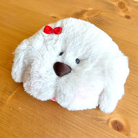 IMG_6309_edited.jpg