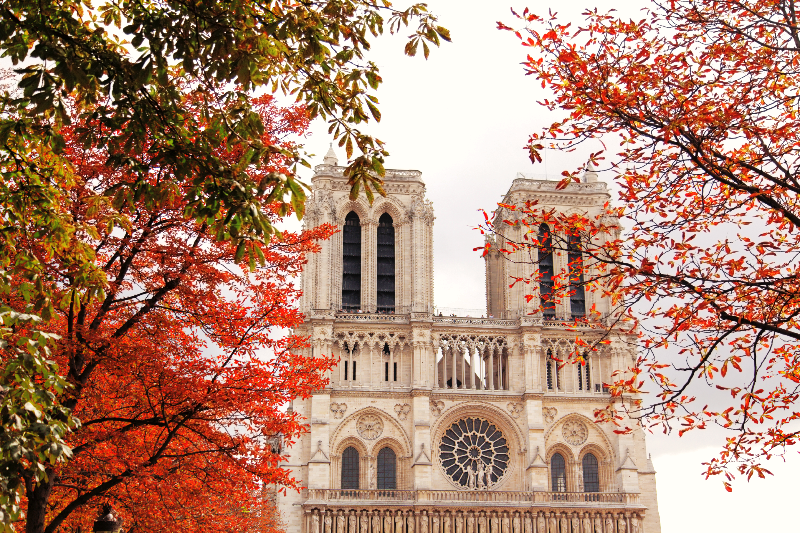 Notre Dame | Paris, France | French For You | Small Group Tuition | Manly, NSW | Learn French