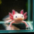 Gemini_Generated_Image_jn790wjn790wjn79.jpg