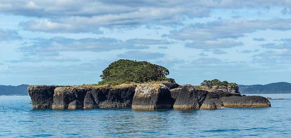 These basalt formations date back approximately 1.2 million years and are the visible tips of lava flows that now represent a geological point of interest in the region.