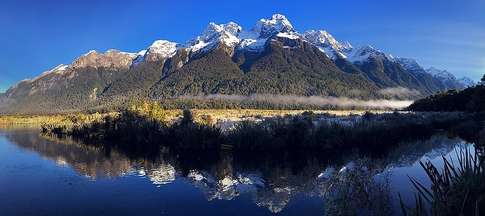 Lake Gunn, a small body of water between Te Anau and Milford Sound, lies quietly nearby.