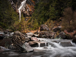 CASCADA WAITONGA: CĂLĂTORIE PRIN RĂDĂCINILE TIMPULUI