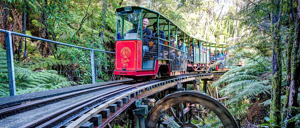 ISTORIA, OLĂRITUL ȘI MOCĂNIȚELE COROMANDELULUI