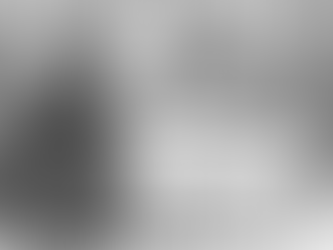 THE FALL OF THE MASTODON