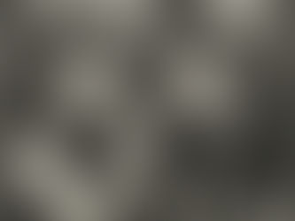 FREEDOM AND THE BATON: THE FIRST CHRONICLE OF THE ROCK GENERATION