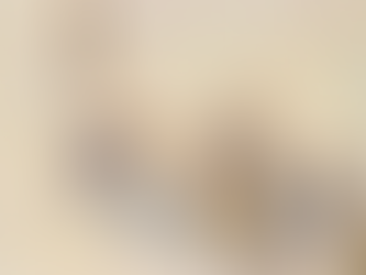 MINERIADA 1990: TURISM DEMOCRATIC CU BÂTA