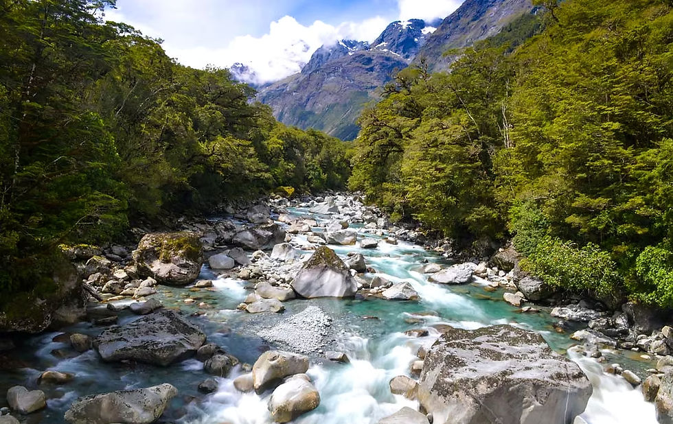 The Tutoko River.