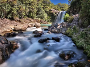 À LA PISCINE DE GOLLUM: LA CASCADE DE TAWHAI