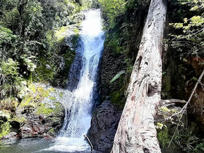 WENTWORTH FALLS, WHANGAMATĀ