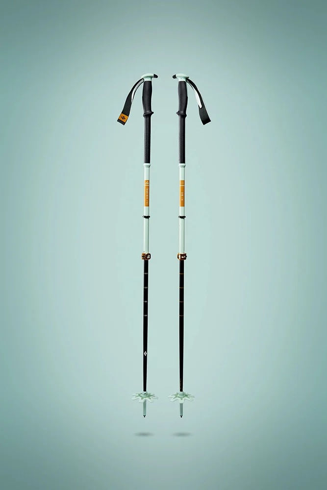 Traverse Pro Ski Poles
