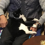 IMG_6156 2_edited.jpg