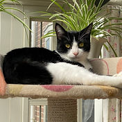 IMG_6156 2_edited.jpg