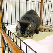 IMG_6156 2_edited.jpg