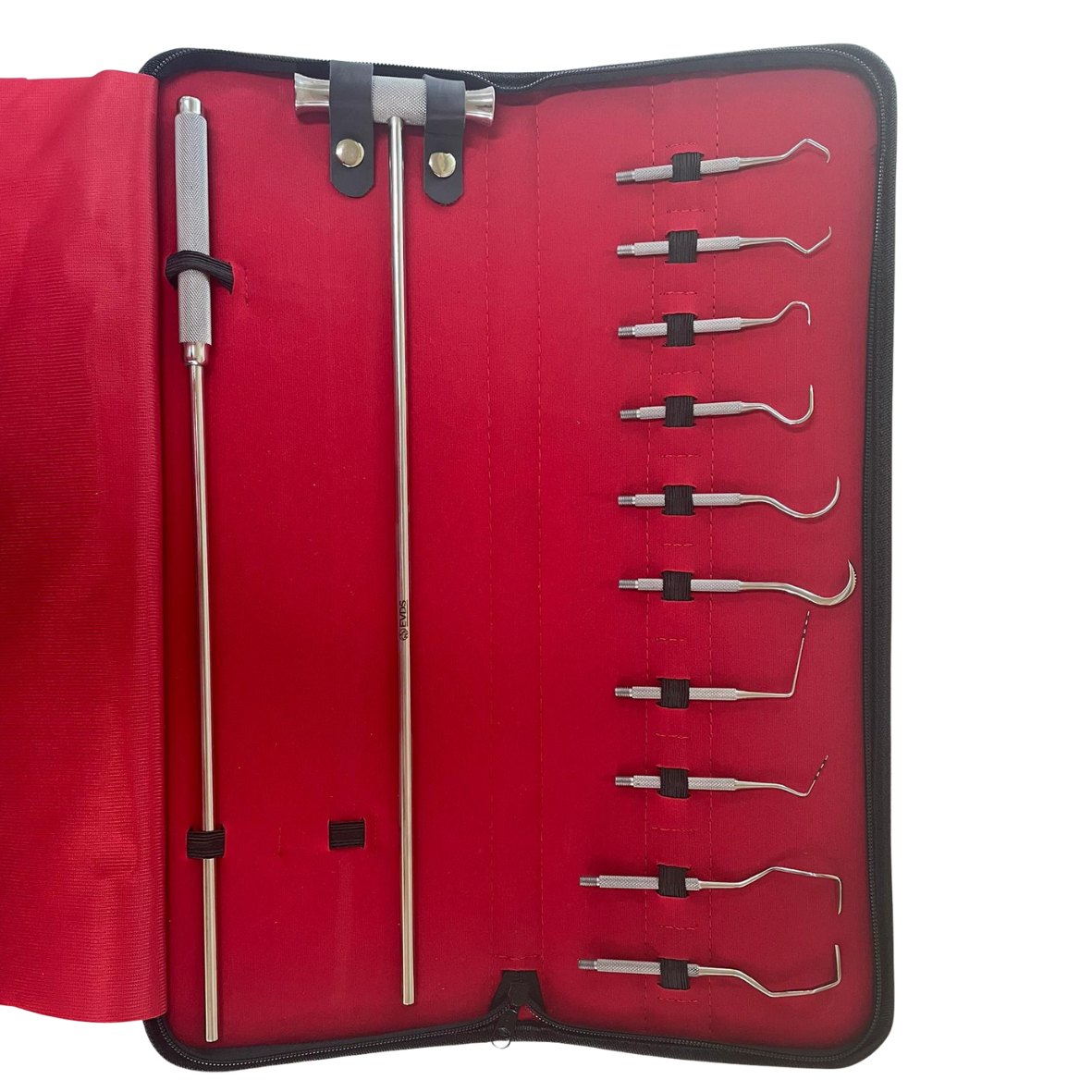 Oral Explorer Kit ( 12 Piece)