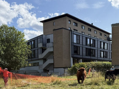 Sommerbeite avsluttet på Bakkehavn