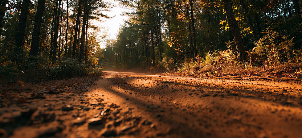 Driveway easement litigation attorney in New Hampshire Apis Law