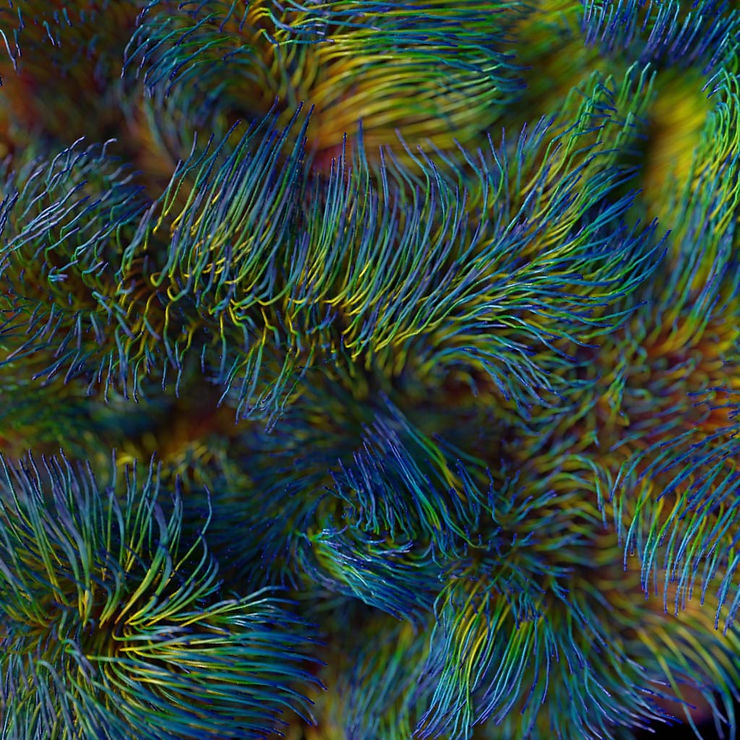 Xp_noise V1_1 (0-00-05-05).jpg