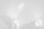 186-Avec accentuation-Bruit-1_edited.jpg