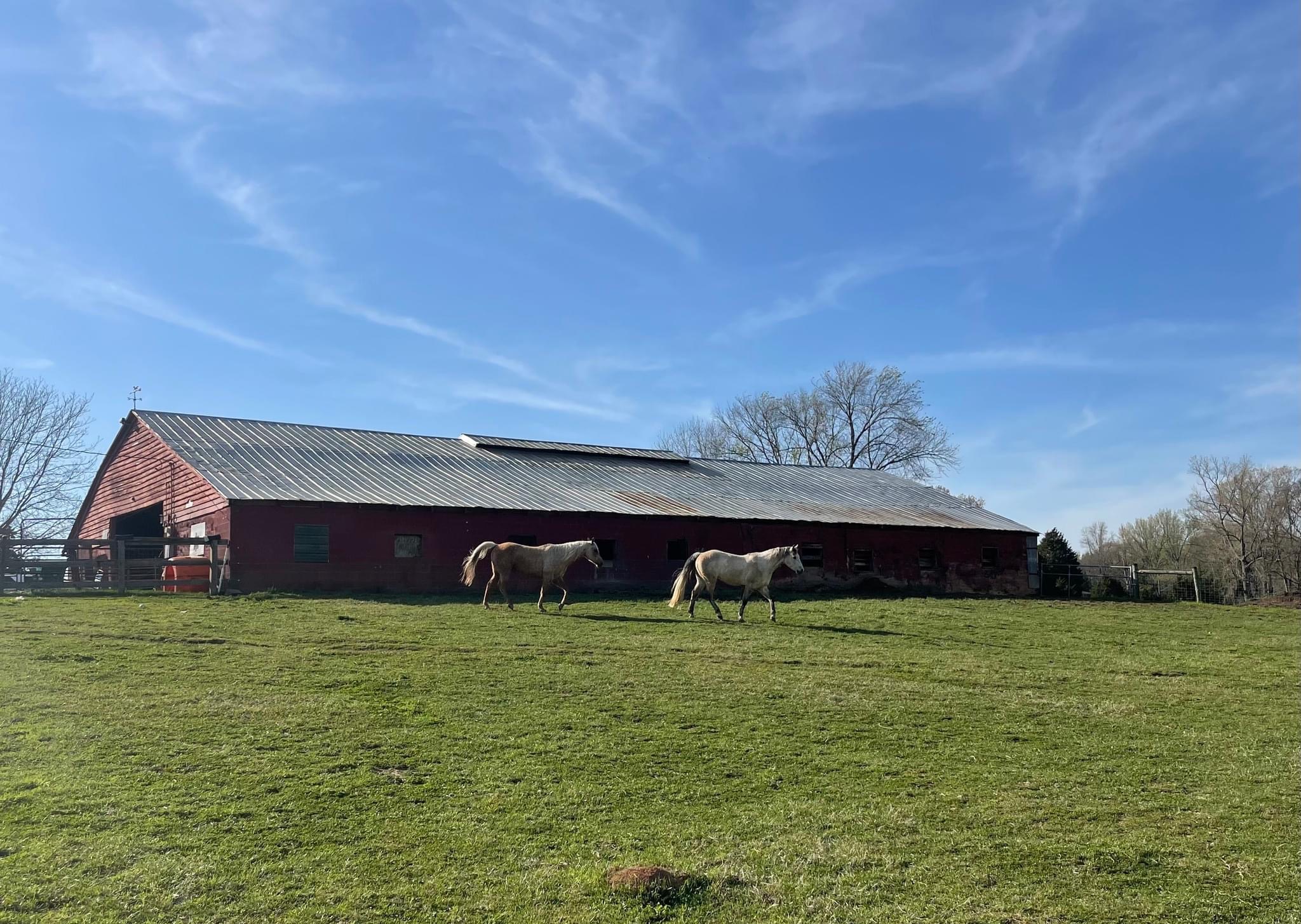 Circle T Ranch Summer Camps