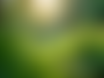 The Importance of Sustainable Living in Today's World