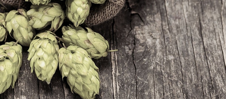 Herbal Medicine for Sleep