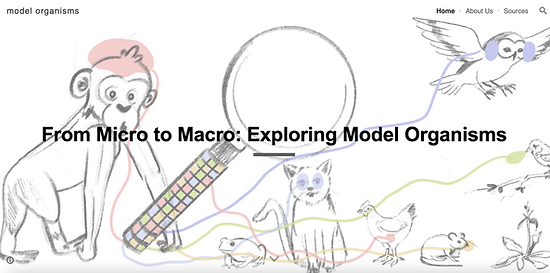 Screenshot 2024-01-19 at 9.29.02 AM.png