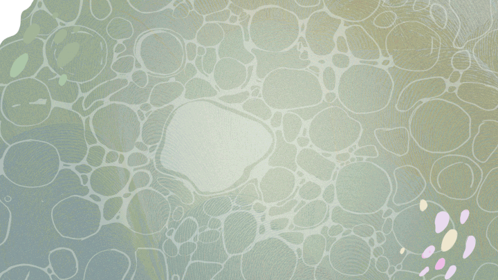 LR-Weekly-waves_gif-ezgif.com-resize.gif
