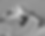 Photoshop better draft.png