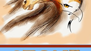 Book Review: Stone Song: A Novel of the Life of Crazy Horse by Win Blevins