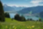 W Lake.webp