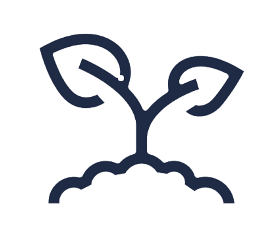 sprout.png