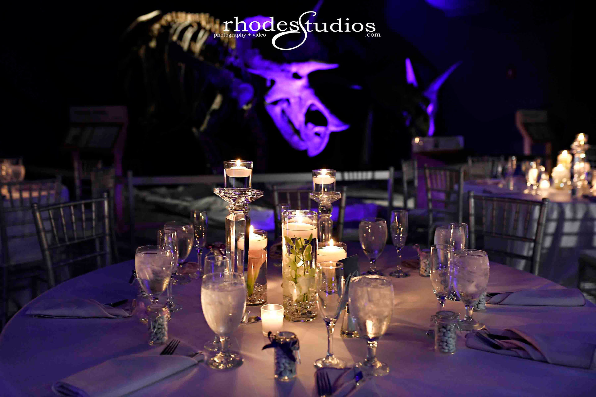 Dino Digs Reception room